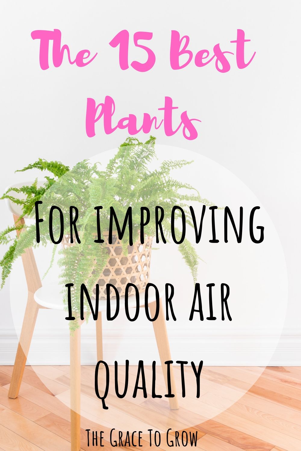 plants-for-improving-indoor-air-quality-pinterest-pin-with-boston-fern