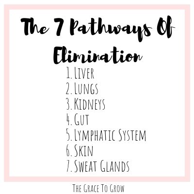 the-7-pathways-of-elimination