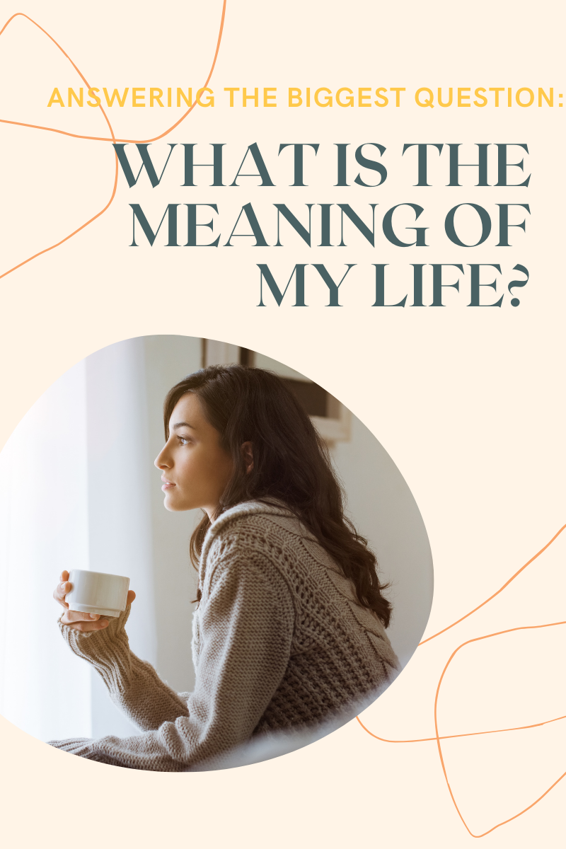 what-is-the-meaning-of-life-pinterest-graphic