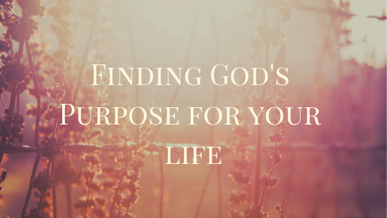 finding-gods-purpose-for-your-life