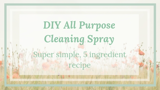 DIY-all-purpose-cleaning-spray