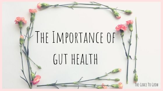 the-importance-of-gut-health